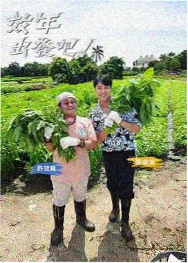 宅宅电影网 向往的生活